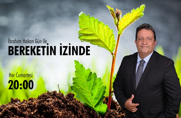 Bereketin İzinde